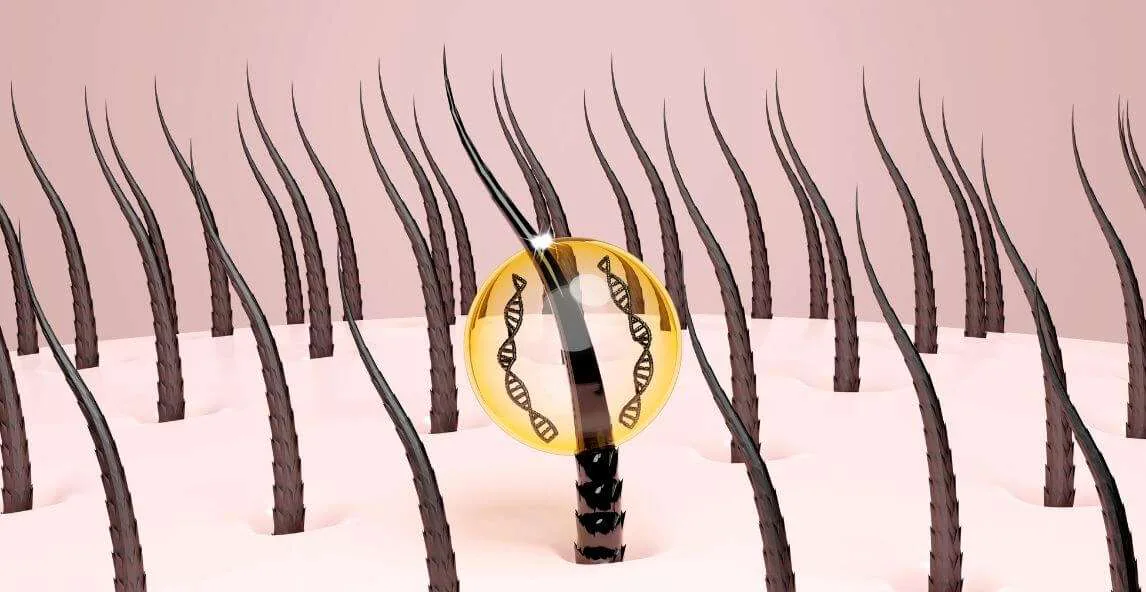 Ilustración 3D de folículos capilares saliendo del cuero cabelludo con una lupa dorada ampliando uno de los cabellos